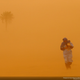 Illustration for article titled The best pictures from National Geographic's Photo Contest 2014